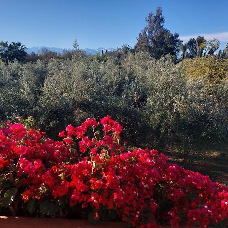 Manzal Lahbab Bed and Breakfast Marrakesh Esterno foto